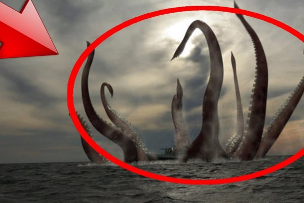 Kraken зеркало даркнет